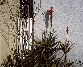 image/1911-2006-01-27T18:13:41-1.JPG