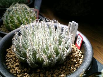 100314_114348_ed.jpg