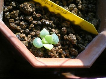 120807_160313_ed.jpg