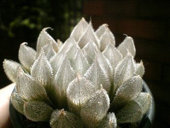 120816_133722_ed.jpg