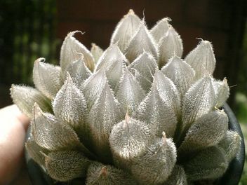 120816_133705_ed.jpg