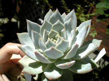 120825_125239_ed.jpg