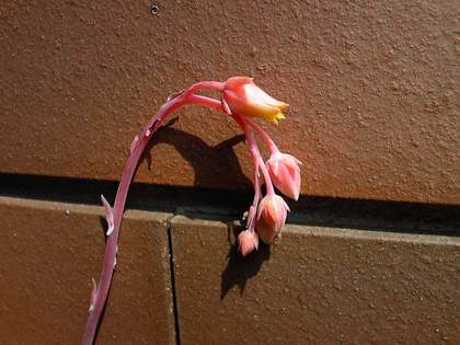 130429_134741_ed.jpg