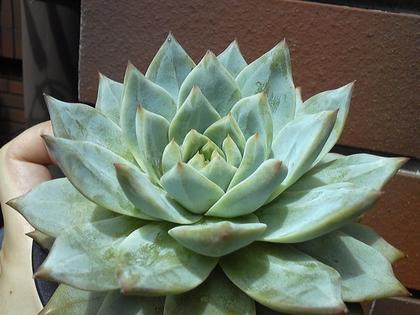 130824_115814_ed.jpg