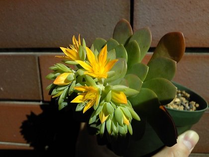 140331_150314_ed.jpg