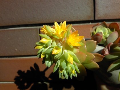 140331_150556_ed.jpg