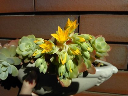 140331_150830_ed.jpg
