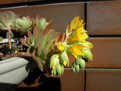 140331_150630_ed.jpg