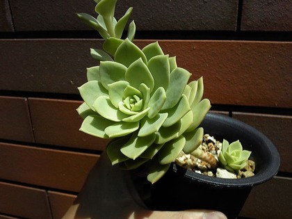 140524_125717_ed.jpg