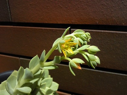 140524_125850_ed.jpg