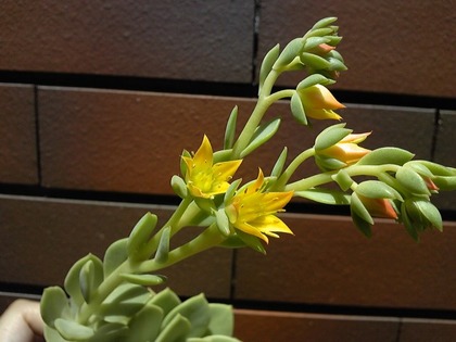 140530_114920_ed.jpg