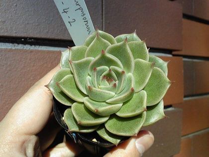 170126_124028_ed.jpg
