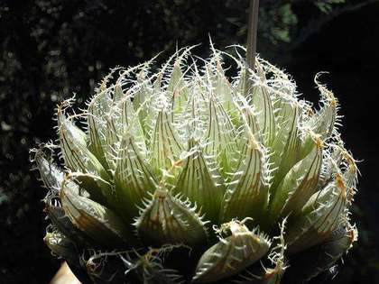 170519_143736_ed.jpg