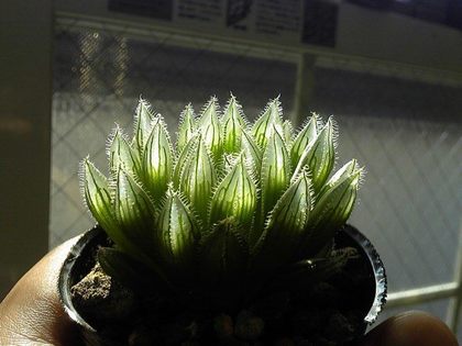 170707_160257_ed.jpg