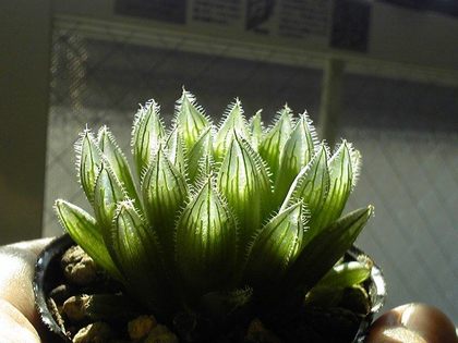 170707_160047_ed.jpg
