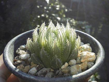 170925_153314_ed.jpg