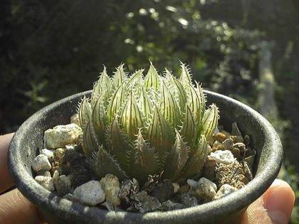 170925_153349_ed.jpg